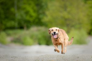 iStock_000009884821_Small