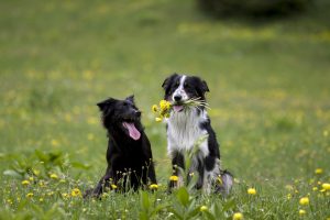 Billings_iStock_000009502242_Large