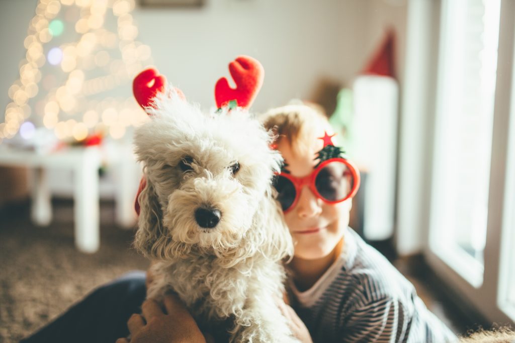 Boy and a dog